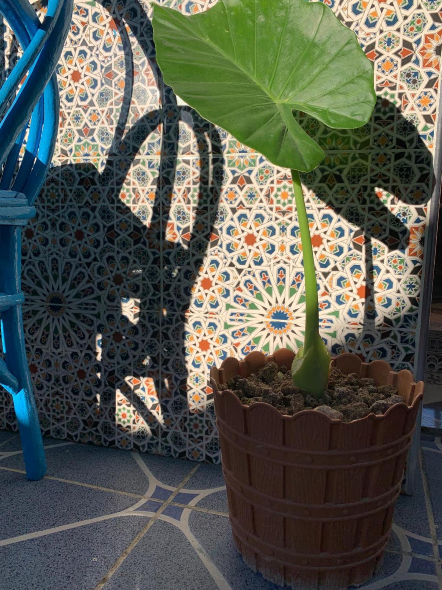 Beach House Asilah Luaran gambar